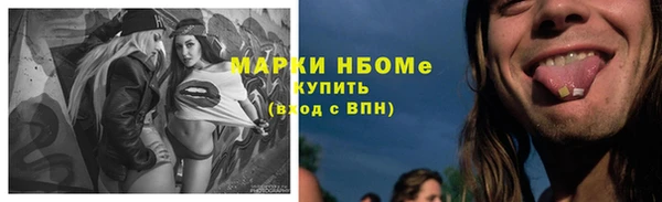 СК Каменка