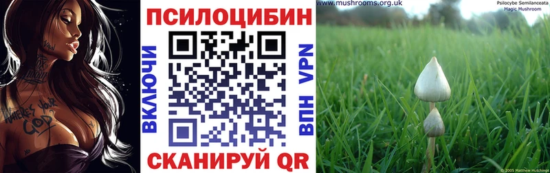 Псилоцибиновые грибы MAGIC MUSHROOMS  Таруса 